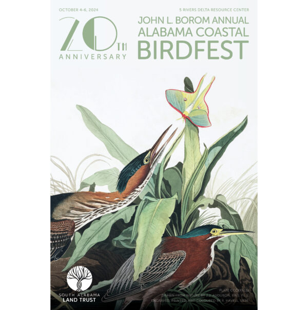 BirdFest 20th Anniversary Commemorative Poster