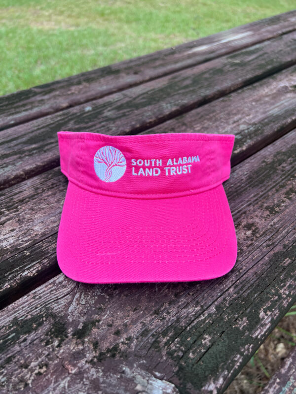 SALT Pink Visor