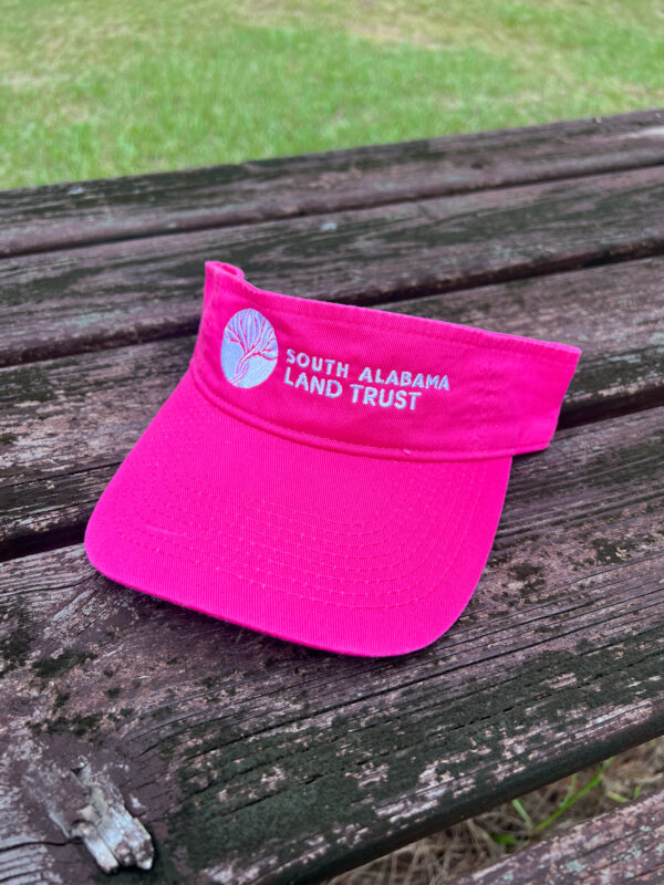 SALT Pink Visor - Image 2